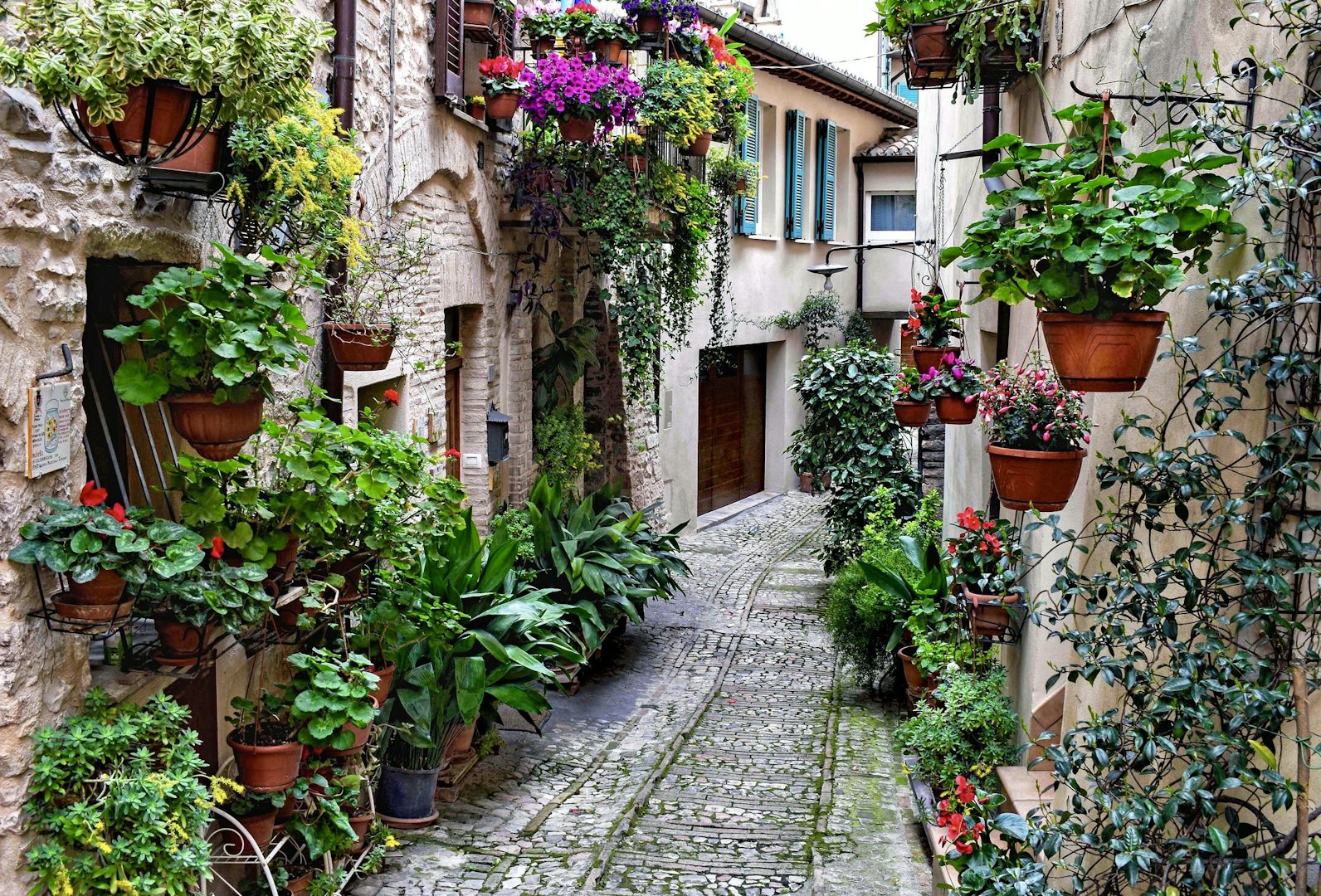 a street in Spello filled with plants and flowers
